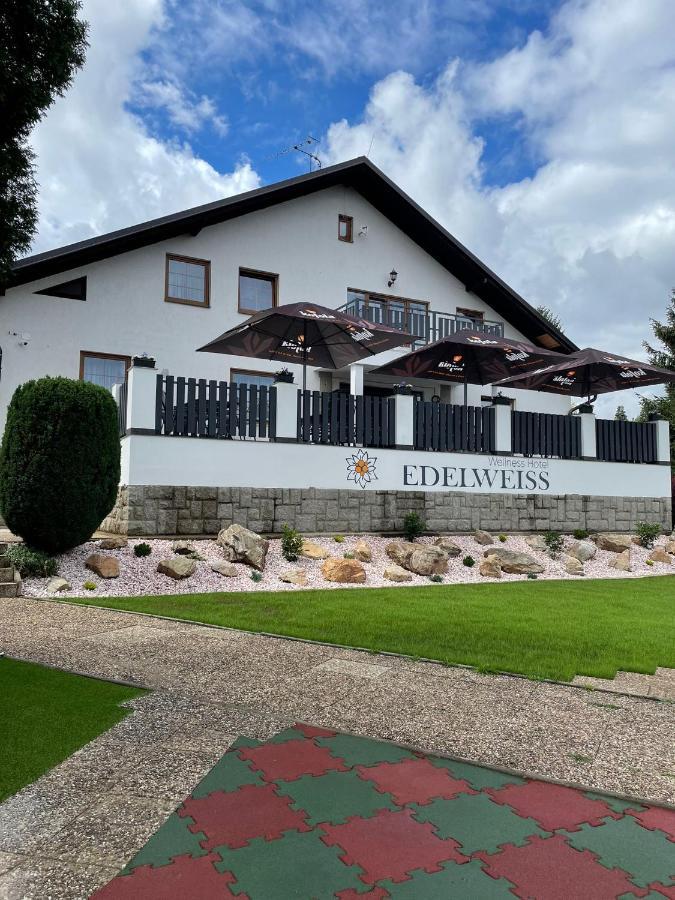 Wellness Hotel Edelweiss Liberec Dış mekan fotoğraf