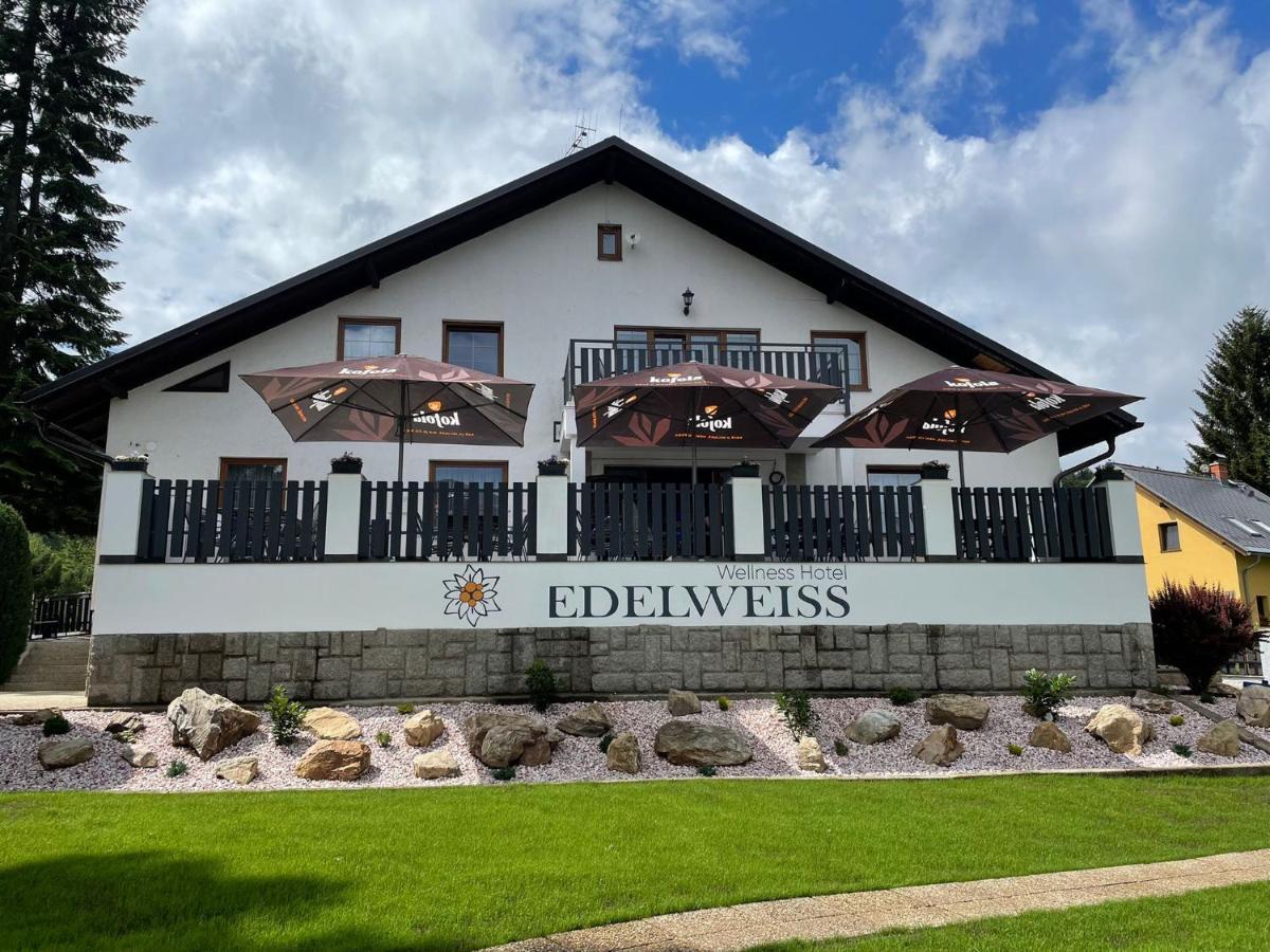 Wellness Hotel Edelweiss Liberec Dış mekan fotoğraf