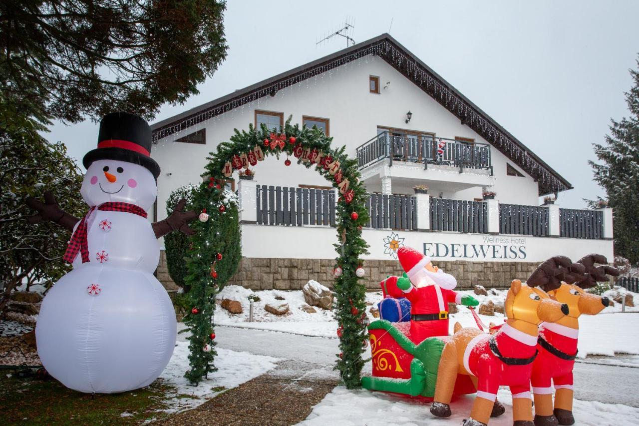 Wellness Hotel Edelweiss Liberec Dış mekan fotoğraf